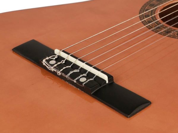 Guitare Classique Salvador Student Series SC-144 avec Housse